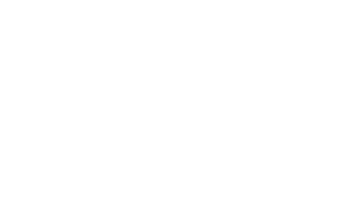 NetEra ltd